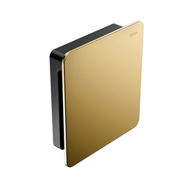 Acabamento para válvula de descarga de parede DocolFlat ouro polido