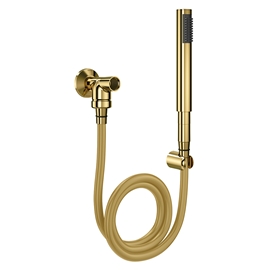 Ducha manual com desviador para chuveiro de parede C30 ouro polido