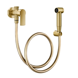 Ducha higiénica con registro y derivación 1/2" Argon oro cepillado