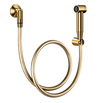 Luxury hand shower w / polished gold trigger