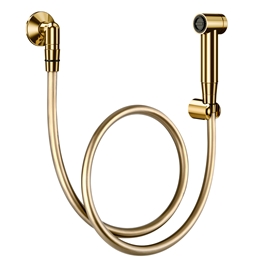 Luxury hand shower w / polished gold trigger