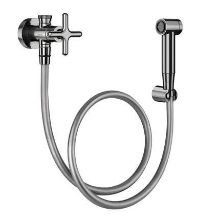 Hand shower with polished Liss graphite faucet and faucet