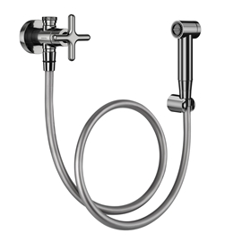 Hand shower with polished Liss graphite faucet and faucet