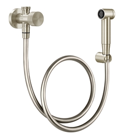 Brushed nickel hand shower and Mix&Match faucet